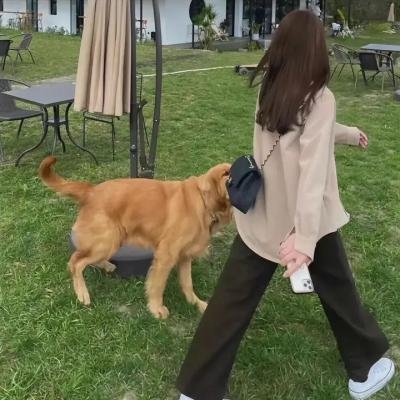 一尸到底